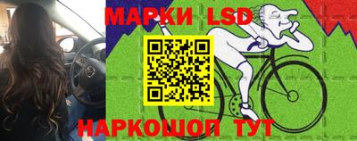 тгк Кандалакша